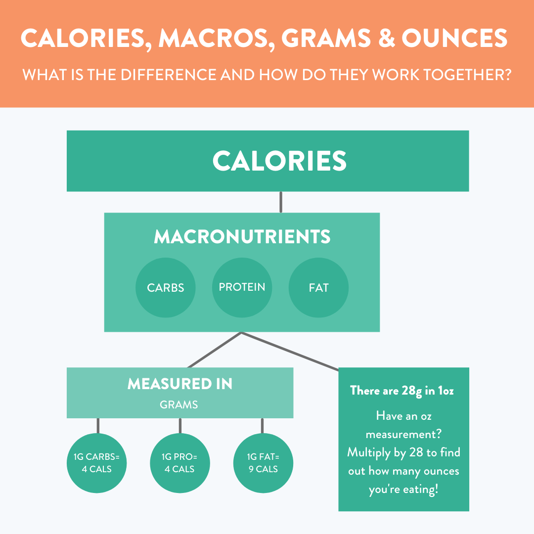 macros-calories-grams-and-ounces-what-are-the-differences-working